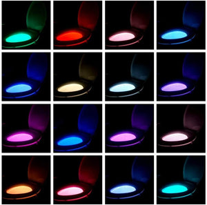 Midnight LED Toilet Light™ - Toy Hut